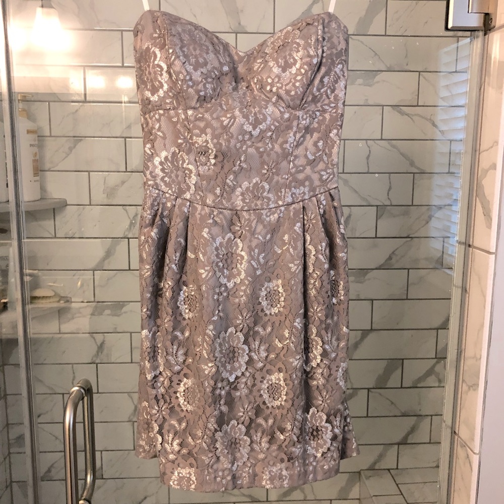Silver and Gray Lace Fitted Dress
